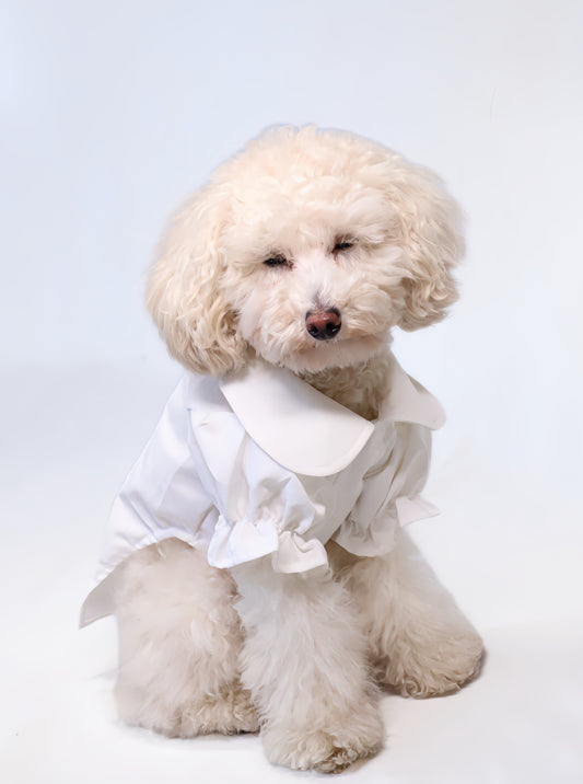 Cute Pet White Shirt