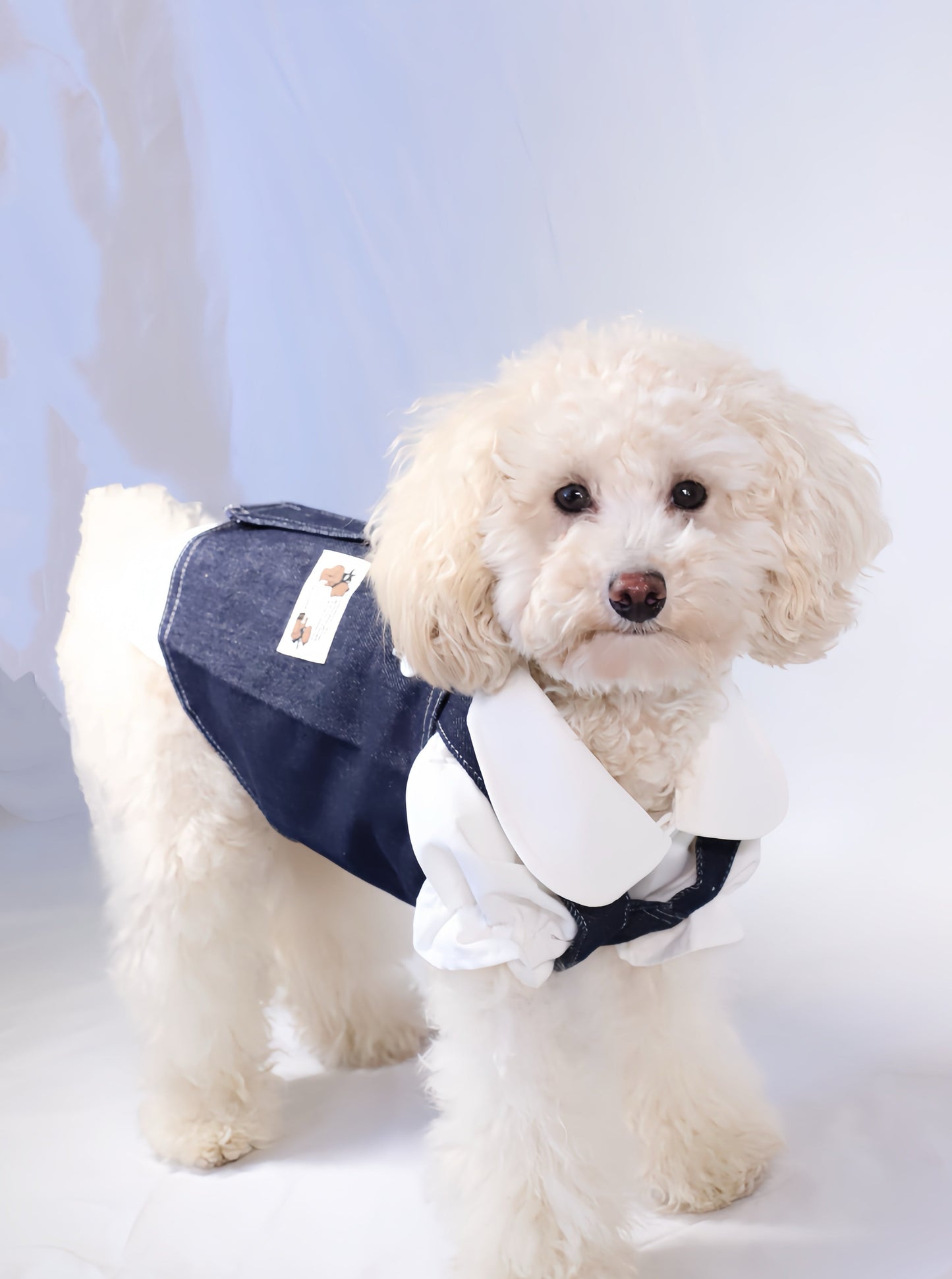 Denim Suspender Skirt for Dog Clothes