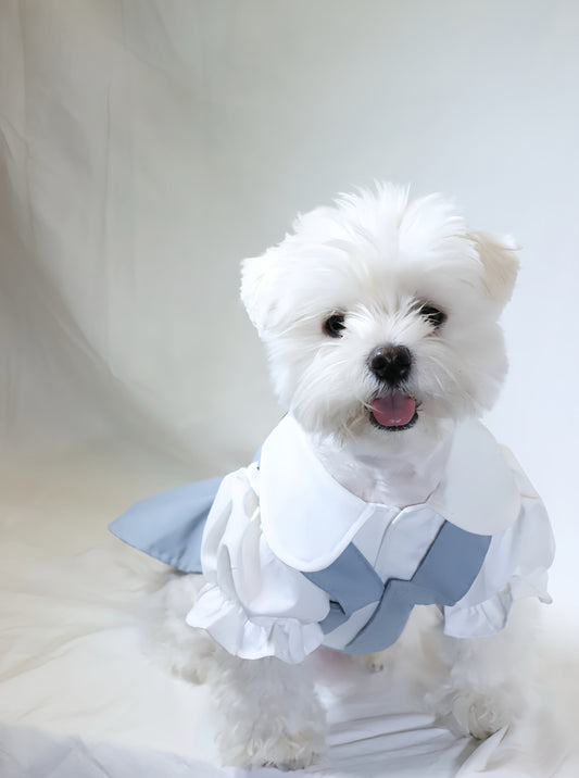 Blue Pet Suspender Skirt