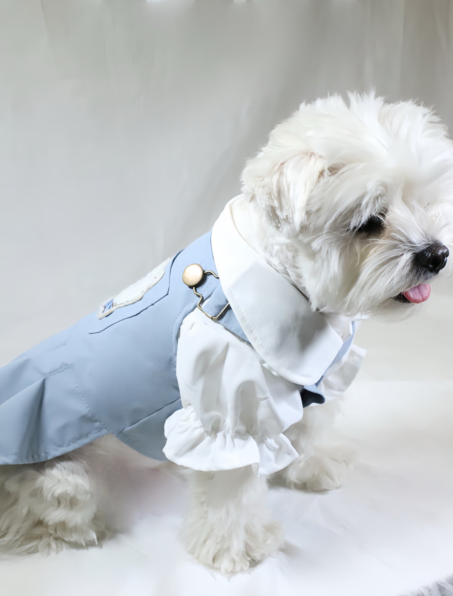 Blue Pet Suspender Skirt