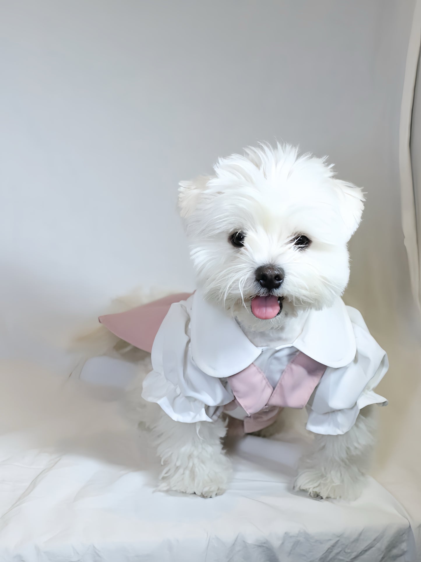 Pink Suspender Skirt for pet